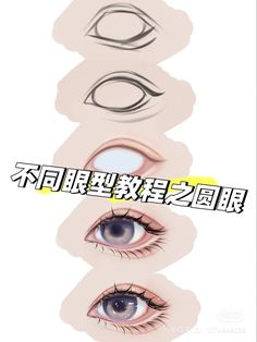 three different types of eyes with the words written in chinese