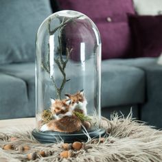 a stuffed fox under a glass dome on a table