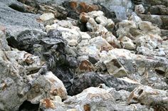 a pile of rocks sitting on top of a rocky hillside covered in dirt and rock