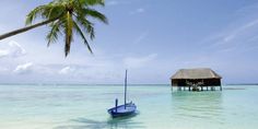 there is a boat in the water and a hut on the other side with a palm tree