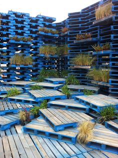 several wooden pallets with plants growing on them