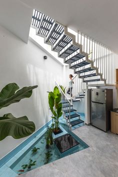 a man is walking up the stairs in a house with plants on the bottom floor