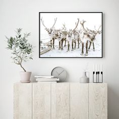 a group of deer standing next to each other on top of a wooden cabinet in front of a white wall