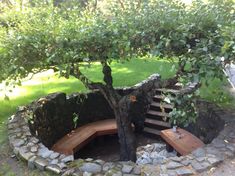 a tree that is sitting in the middle of a bench under a tree with steps leading up to it