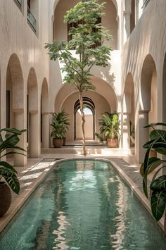 an indoor swimming pool surrounded by arches and potted plants in front of the water