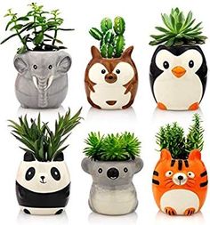 four ceramic animal planters with plants in them on a white surface, including an elephant, tiger, panda, and penguin