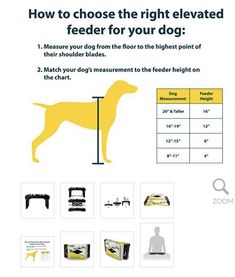 a poster showing how to choose the right elevated feeder for your dog