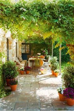 an outdoor dining area with potted plants and flowers on the table, surrounded by greenery