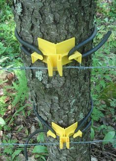 two yellow wires connected to a tree in the woods, with barbed wire around it