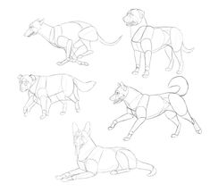 four different types of dogs are shown in this drawing lesson, which shows how to draw them