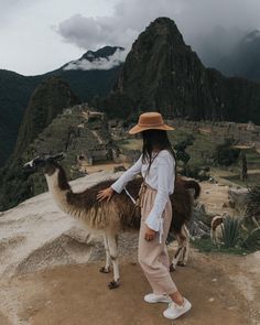 a woman standing on top of a mountain next to an llama