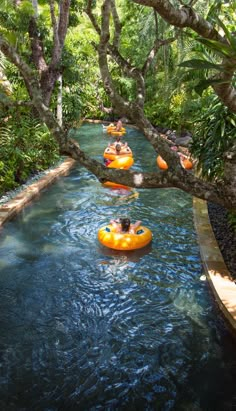 several people are tubling down a river in an area with lots of trees and water