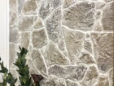 a plant is sitting in front of a stone wall with green leaves on the corner