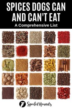 spices can and can't eat a compreensive list for spice lovers