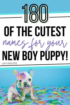 a dog with the words, 100 of the cutest names for your new boy puppy