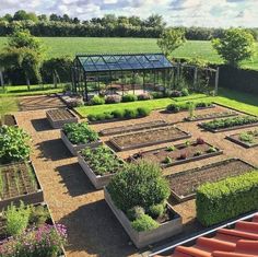 an aerial view of a vegetable garden with lots of plants and flowers in the foreground