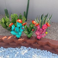 three colorful cactus plants sitting on top of rocks