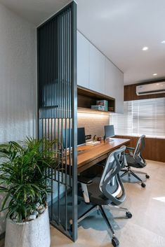 an office with a desk, chair and plant in the corner by the partition between the two walls