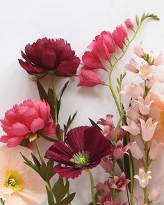 pink and red flowers are arranged in a row