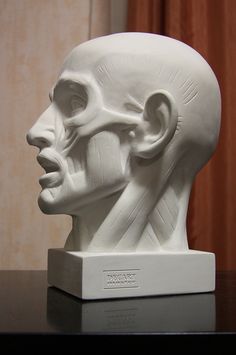 a white sculpture of a man's head on a table