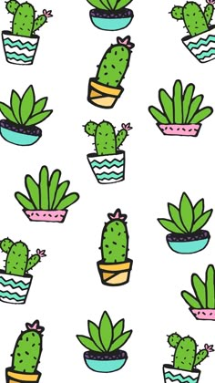 a bunch of potted plants with different designs on them