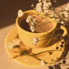 a yellow cup and saucer with dried flowers in it