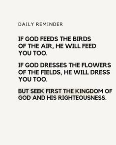 a quote from daily reminders about the birds that feed in the air, he will feed you too