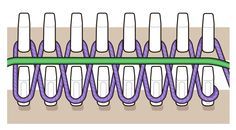 an image of a hair comb with purple and green sections