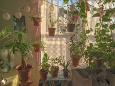 several potted plants are hanging from a window sill in front of a curtain