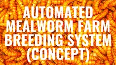 the words automated mealworm farm breeding system concept