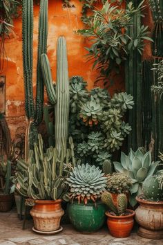 many different kinds of cactus are in pots on the ground near an orange wall and some green plants