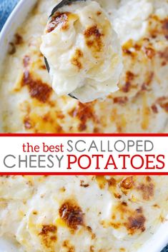 the best scalloped cheesy potatoes in a white bowl with a spoon