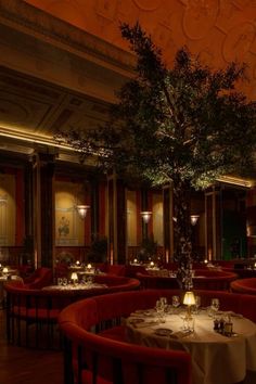 a dining room with tables and red chairs