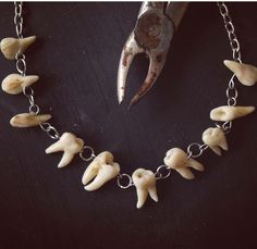 Teeth Necklace, Gothic Jewellery, Human Teeth, Taxidermy Art, Teeth Jewelry, Tooth Necklace, Bone Jewelry, Gothic Earrings, Goth Jewelry