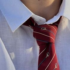 a man wearing a white shirt and red neck tie with dolphins on it, in front of a blue sky