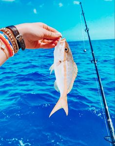 a person holding a fish while fishing on the water