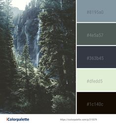 the color palette is dark green, blue and grey with some trees in front of it