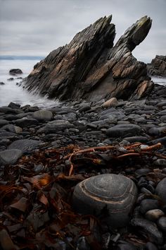 rocks and seaweed on the beach with water coming in