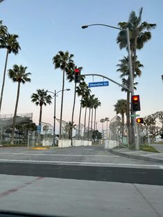 palm trees line the street in front of a stop light and traffic signal at an intersection