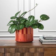 a potted plant sitting on top of a wooden table next to a stack of books