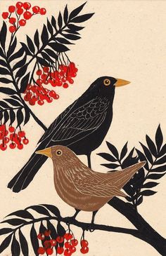 two birds are sitting on a branch with berries