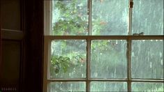 a cat sitting on a window sill looking out at the rain coming through it