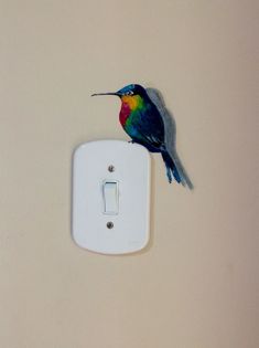 a colorful bird sitting on top of a white light switch cover in a room with beige walls