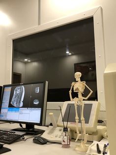 an x - ray skeleton sitting on top of a desk next to a computer monitor