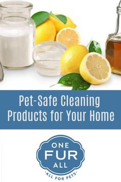 the words pet - safe cleaning products for your home are in front of lemons and other