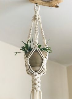 macrame plant hanger with succulents hanging from it's side