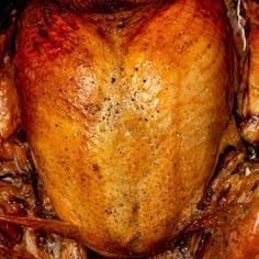 a close up of a turkey on a table