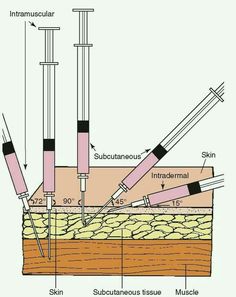 an app showing the different types of tools used to make construction work on a building