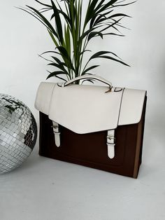 #Julievintagebag #plantsmakemehappy#ecosusi#briefcase My Day