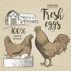 two chickens standing next to each other in front of a barn and an egg box